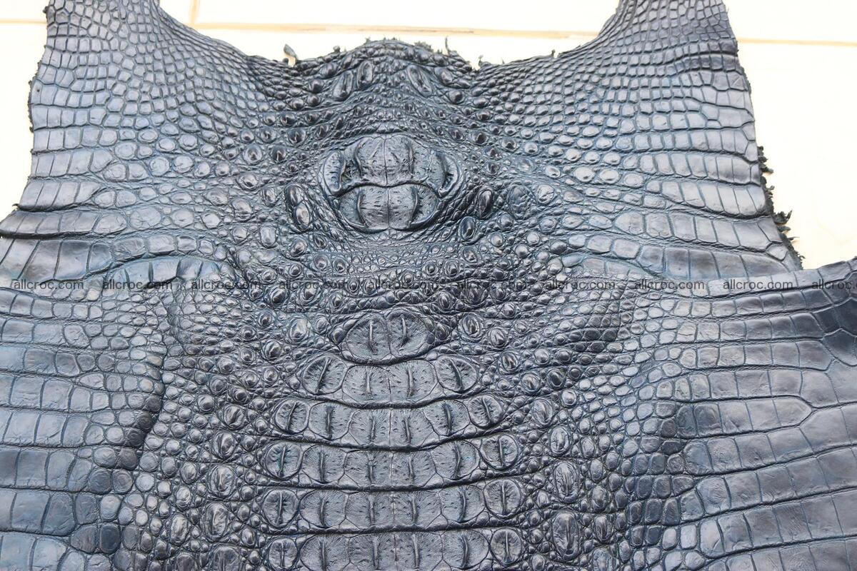 Crocodile skin back part navy blue color 1241 Foto 4