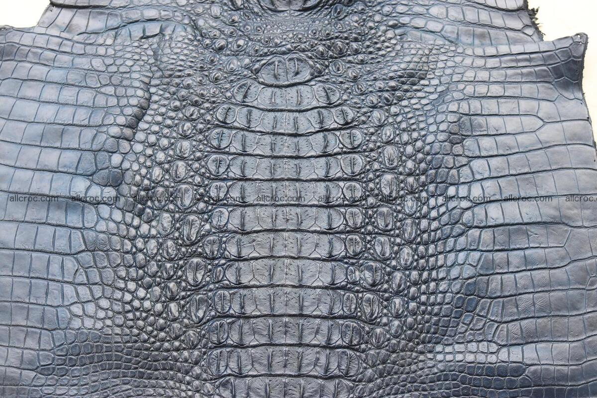 Crocodile skin back part navy blue color 1241 Foto 5