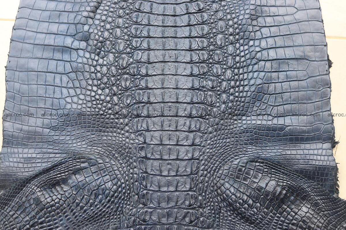 Crocodile skin back part navy blue color 1241 Foto 6