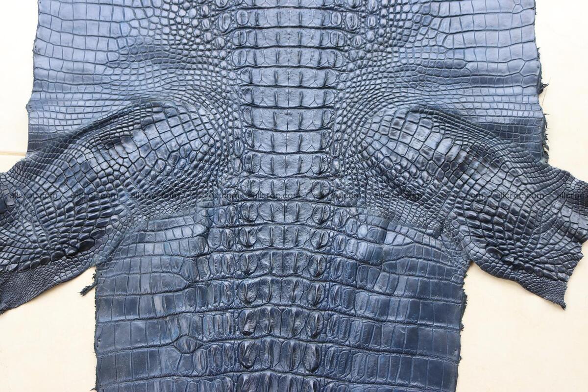 Crocodile skin back part navy blue color 1241 Foto 7