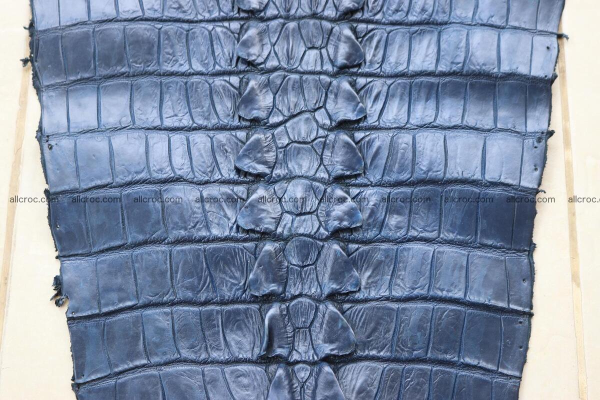 Crocodile skin back part navy blue color 1241 Foto 9