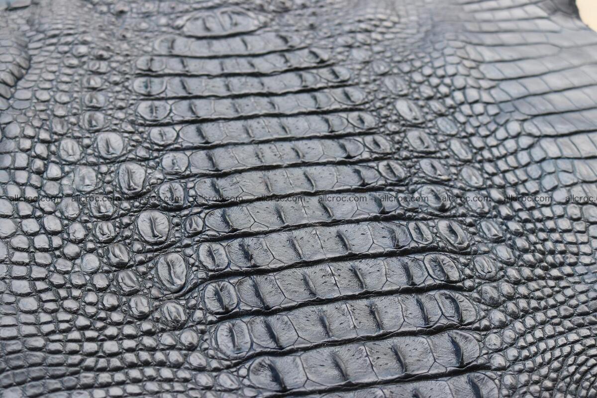 Crocodile skin back part navy blue color 1241 Foto 15