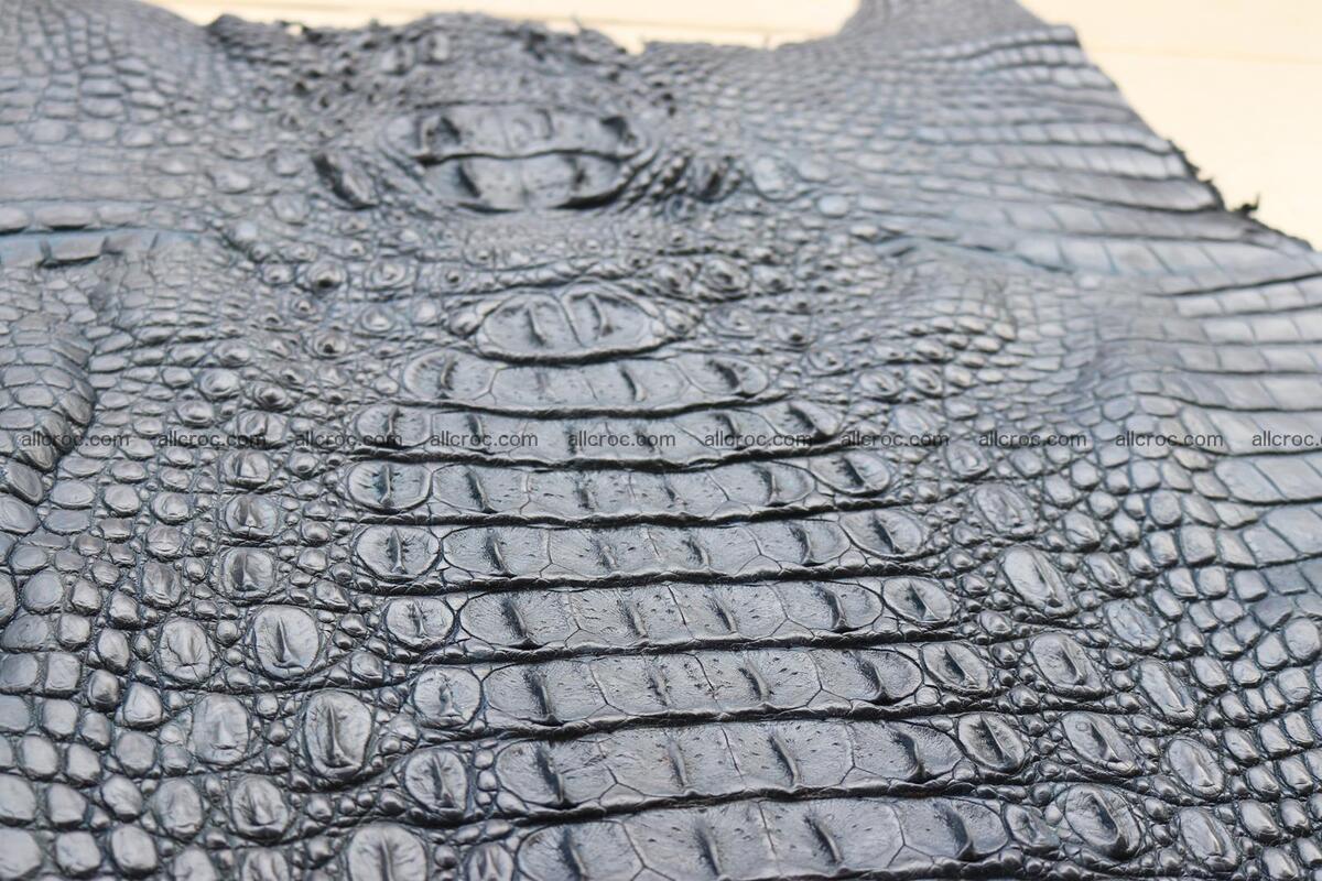 Crocodile skin back part navy blue color 1241 Foto 12