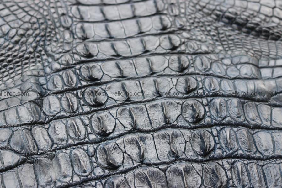 Crocodile skin back part navy blue color 1241