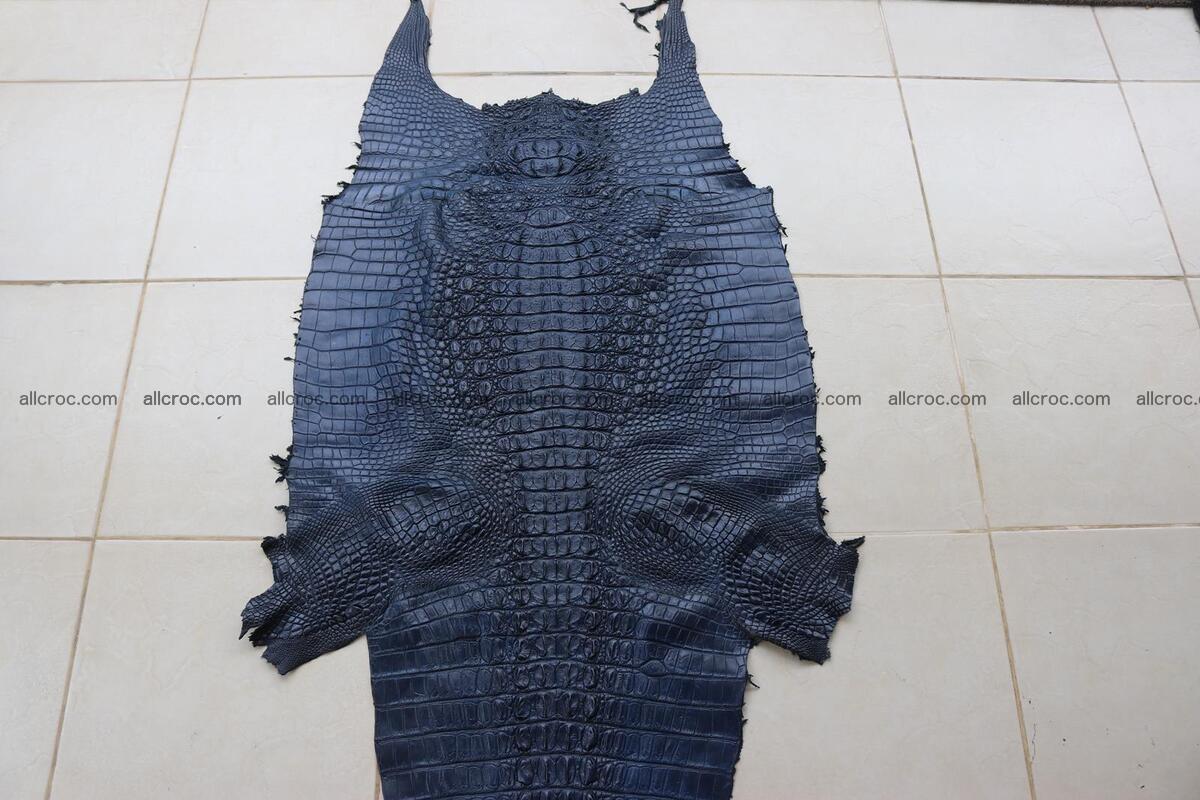 Crocodile skin back part navy blue color 1242 Foto 0