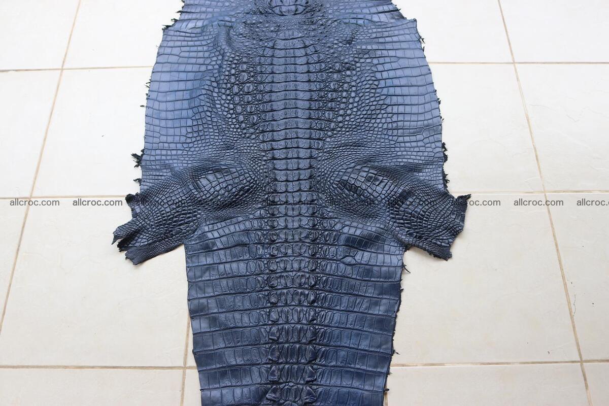 Crocodile skin back part navy blue color 1242 Foto 1
