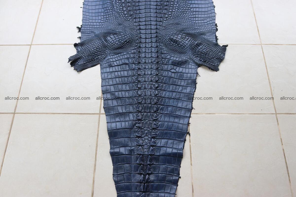 Crocodile skin back part navy blue color 1242 Foto 2