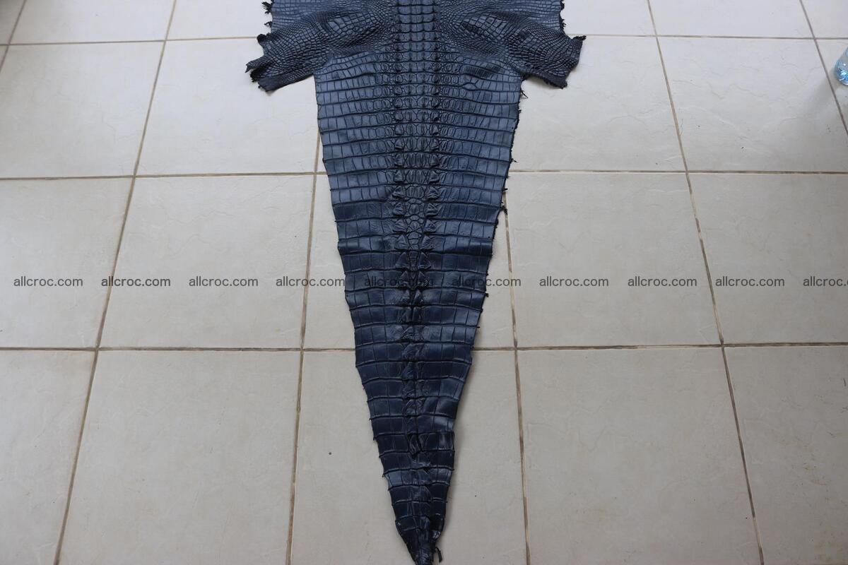 Crocodile skin back part navy blue color 1242 Foto 5