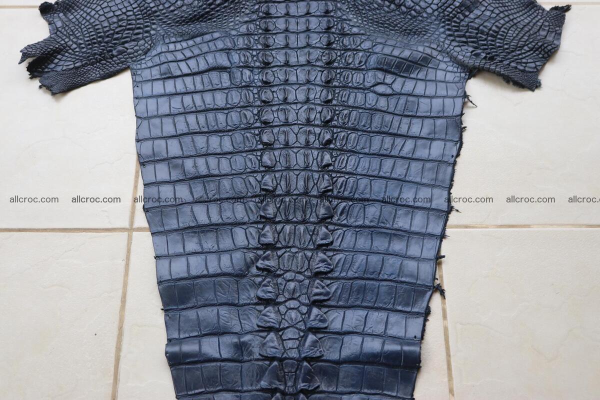 Crocodile skin back part navy blue color 1242 Foto 3