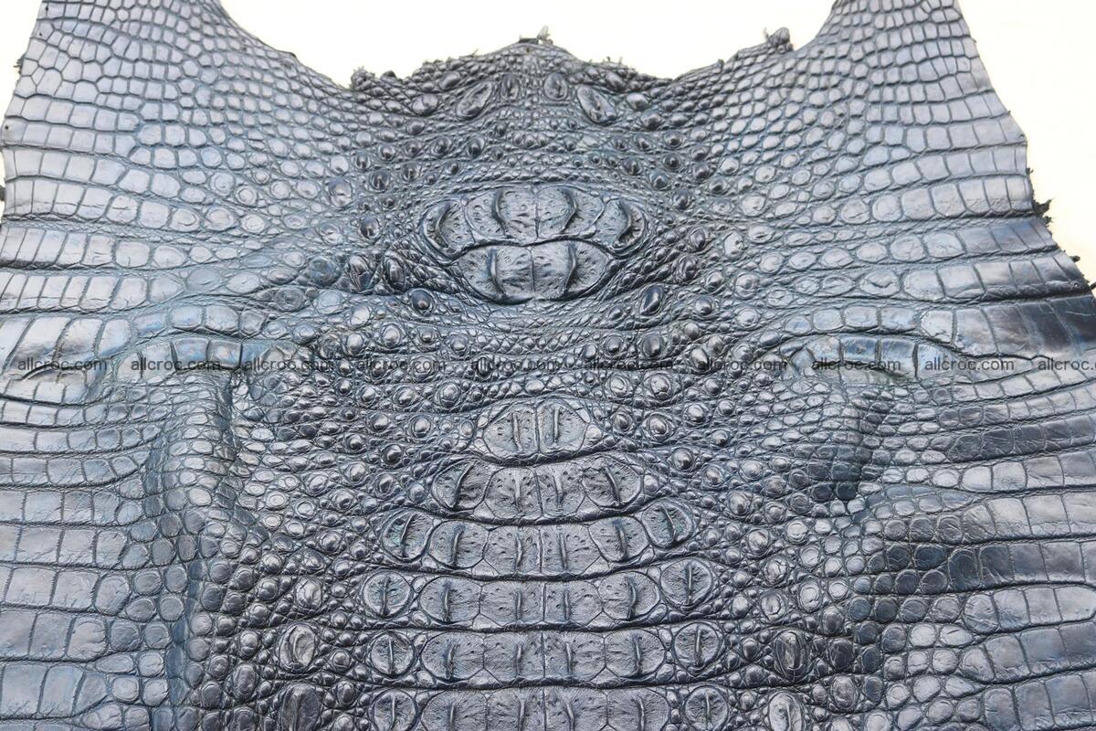 Crocodile skin back part navy blue color 1242 Foto 7