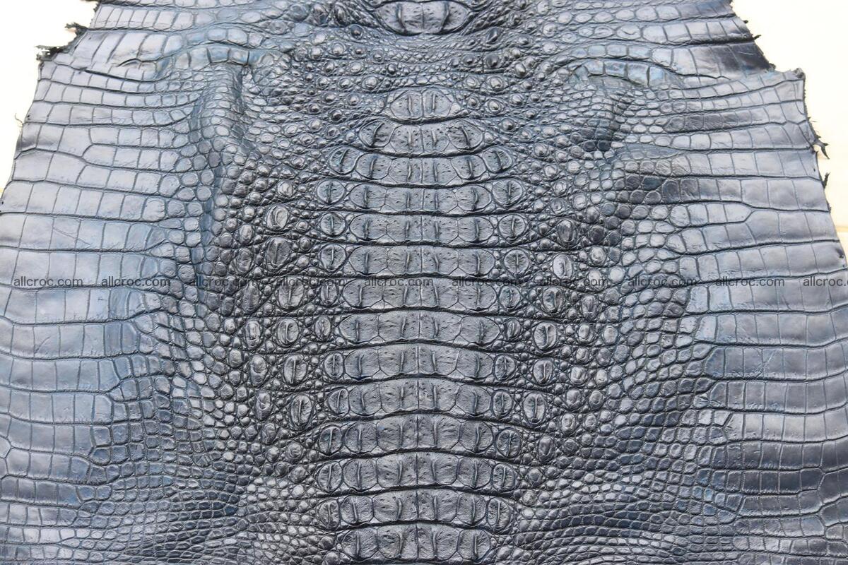 Crocodile skin back part navy blue color 1242 Foto 8