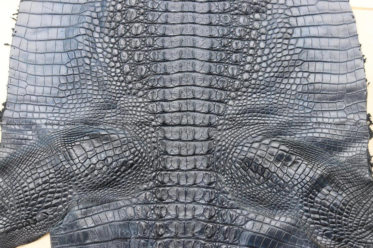 Crocodile skin back part navy blue color 1242 Foto 9