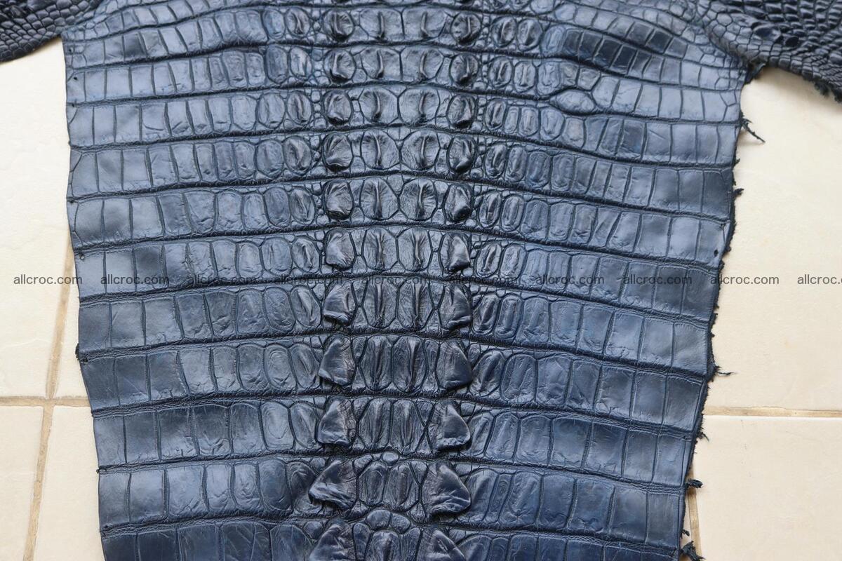 Crocodile skin back part navy blue color 1242 Foto 4