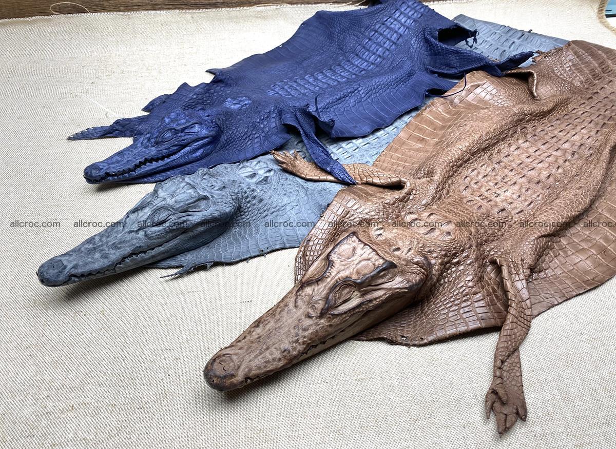 Crocodile skin back part with head and paws 24cm black color 1491 Foto 12