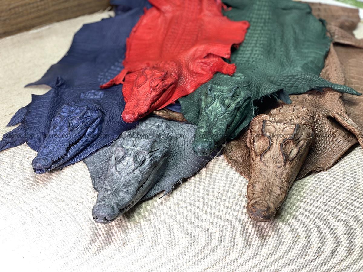 Crocodile skin back part with head and paws 24cm black color 1491 Foto 13
