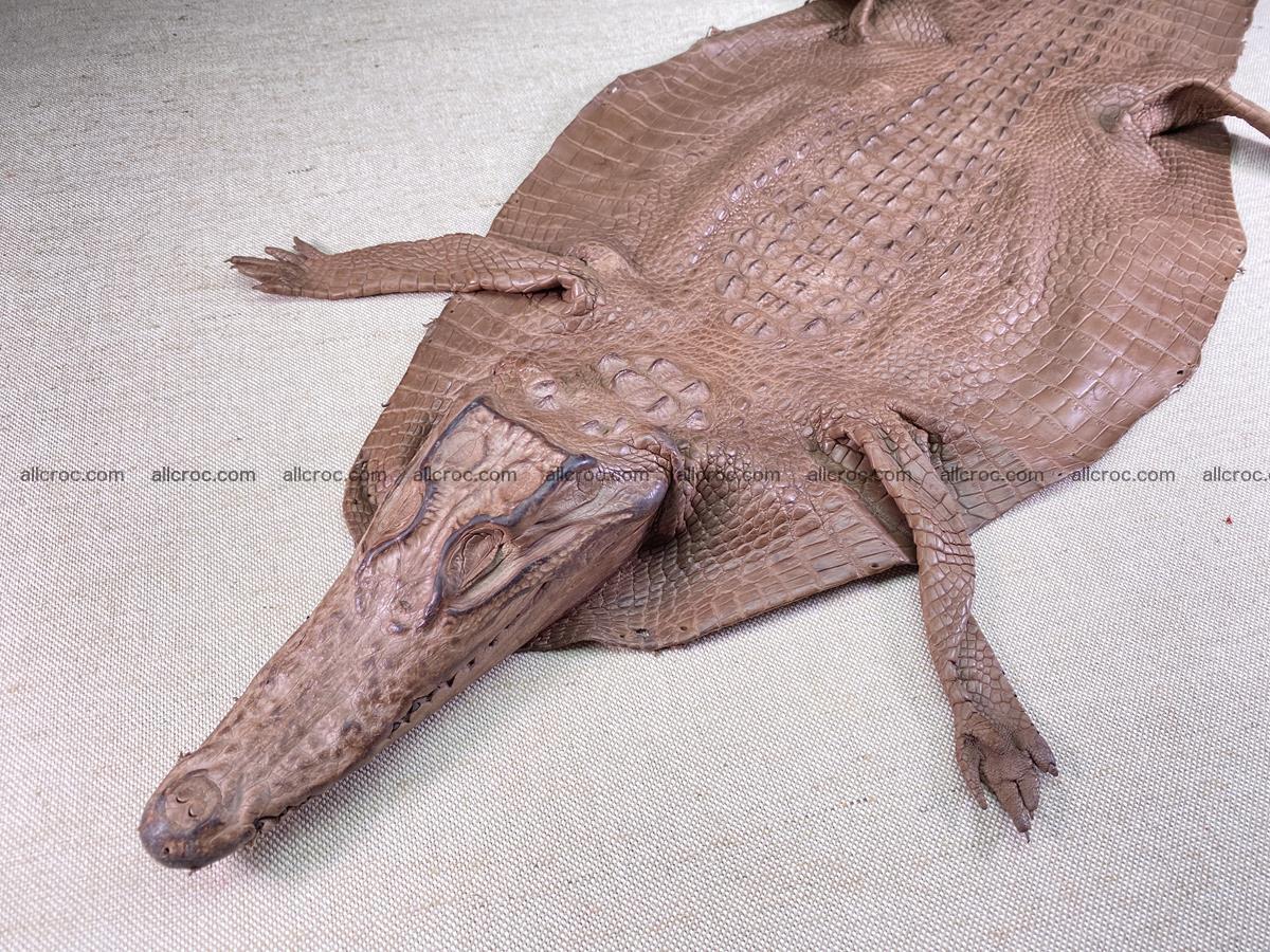 Crocodile skin back part with head and paws 36cm brown color 1492 Foto 0