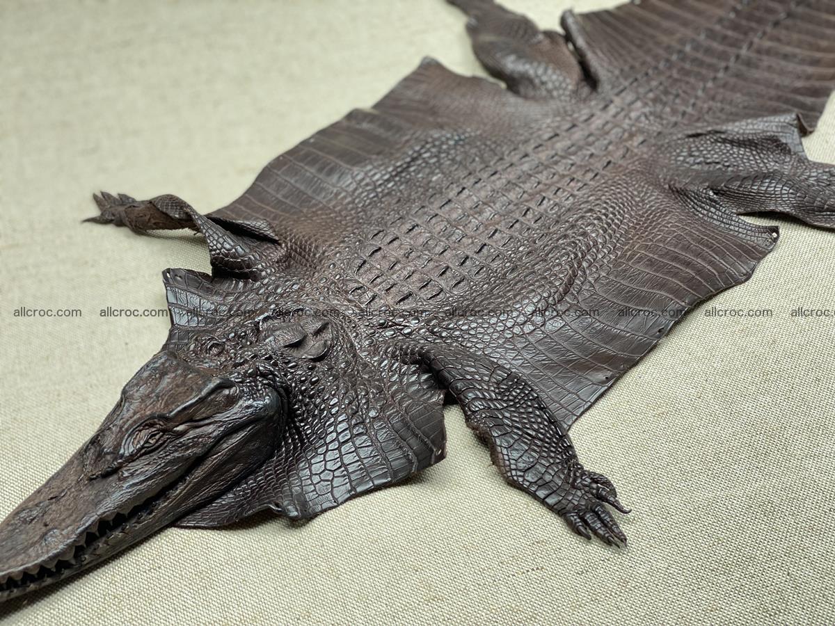Crocodile skin back part with head and paws 29cm dark brown color 1494 Foto 1