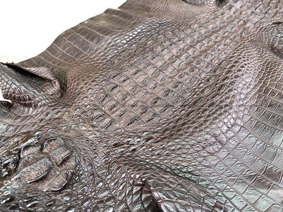 Crocodile skin back part with head and paws 29cm dark brown color 1494 Foto 6