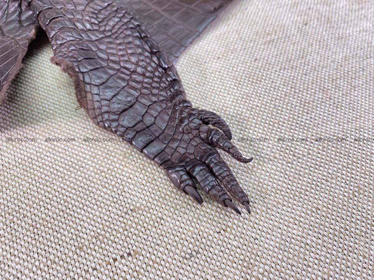 Crocodile skin back part with head and paws 29cm dark brown color 1494 Foto 7