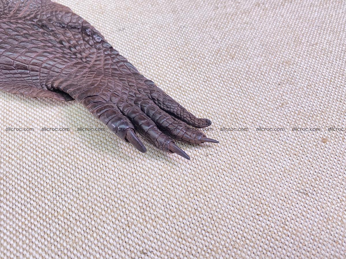 Crocodile skin back part with head and paws 29cm dark brown color 1494 Foto 8