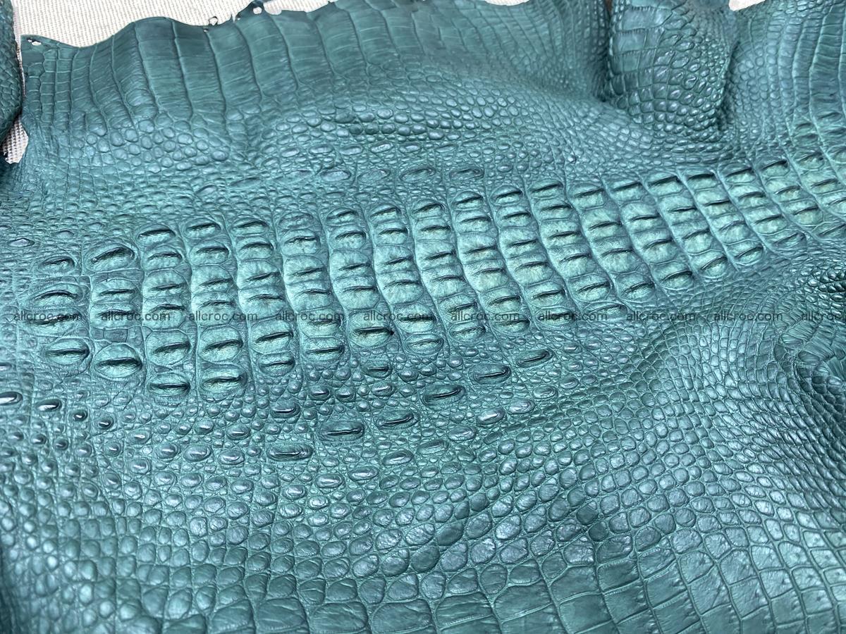 Crocodile skin back part with head and paws 24cm emerald color 1496 Foto 5