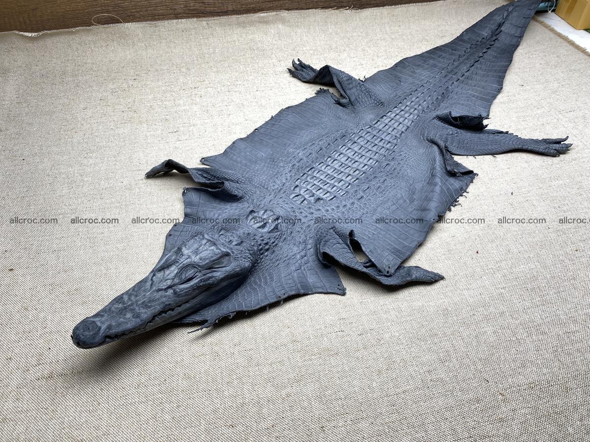 Crocodile skin back part with head and paws 34cm gray color 1493 Foto 1