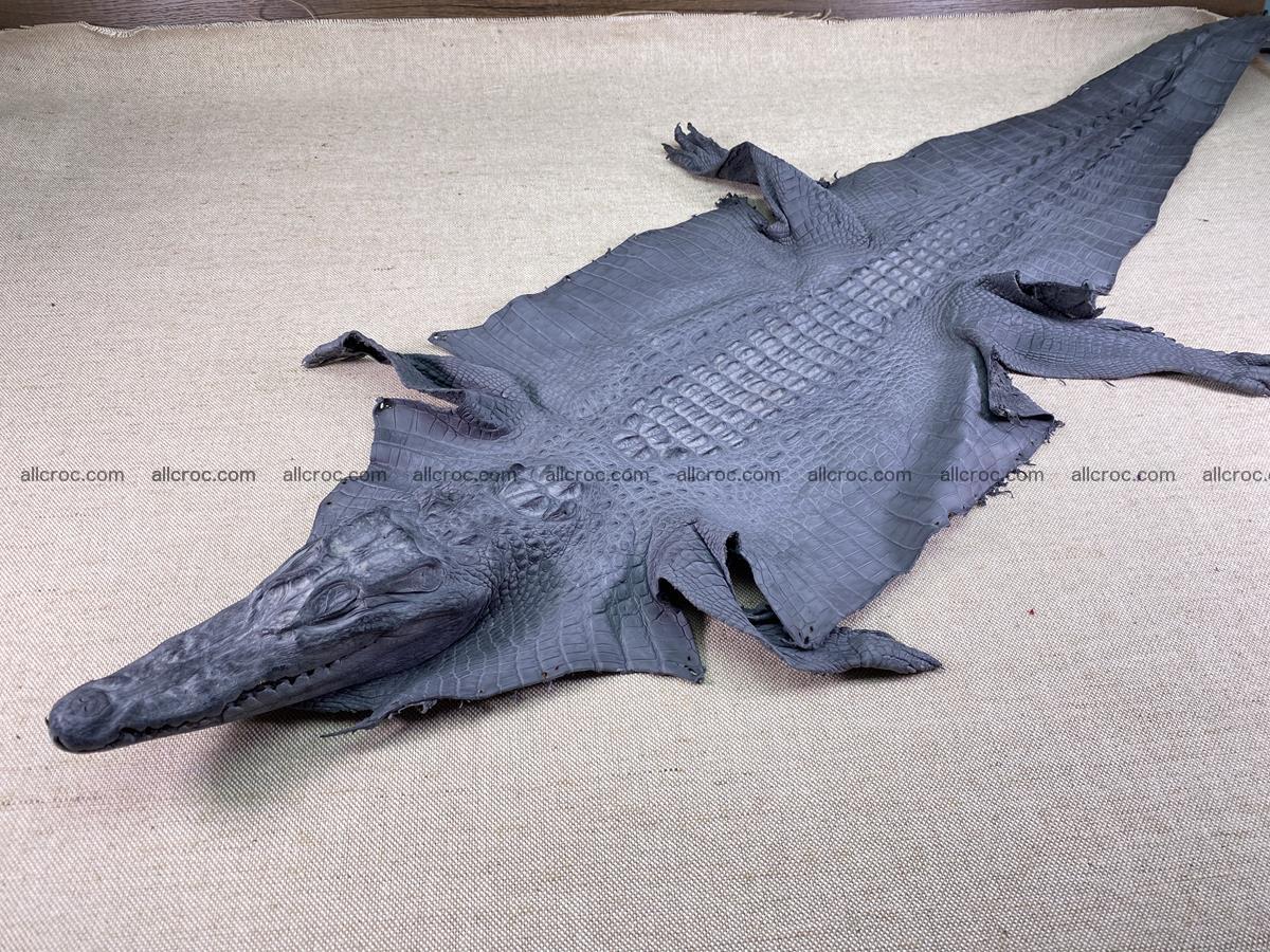 Crocodile skin back part with head and paws 34cm gray color 1493 Foto 2
