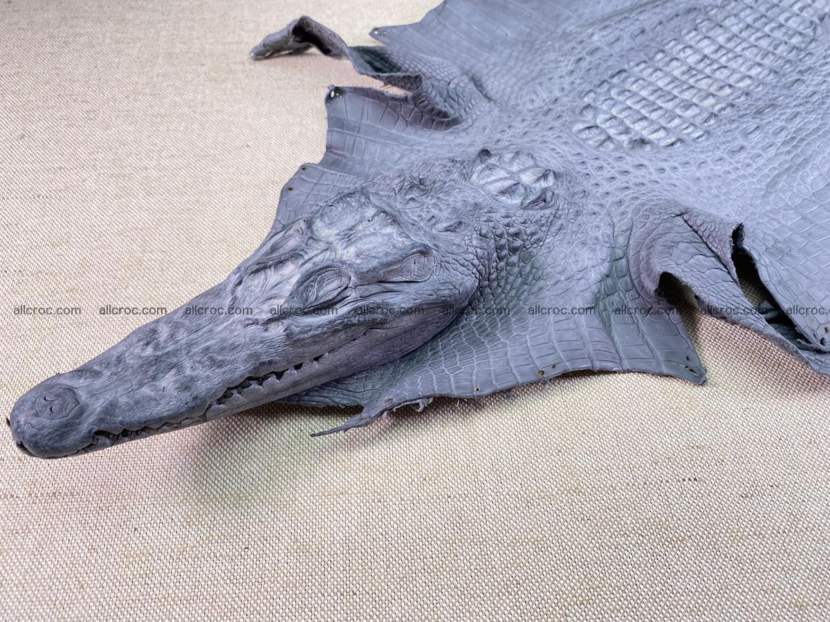 Crocodile skin back part with head and paws 34cm gray color 1493 Foto 0