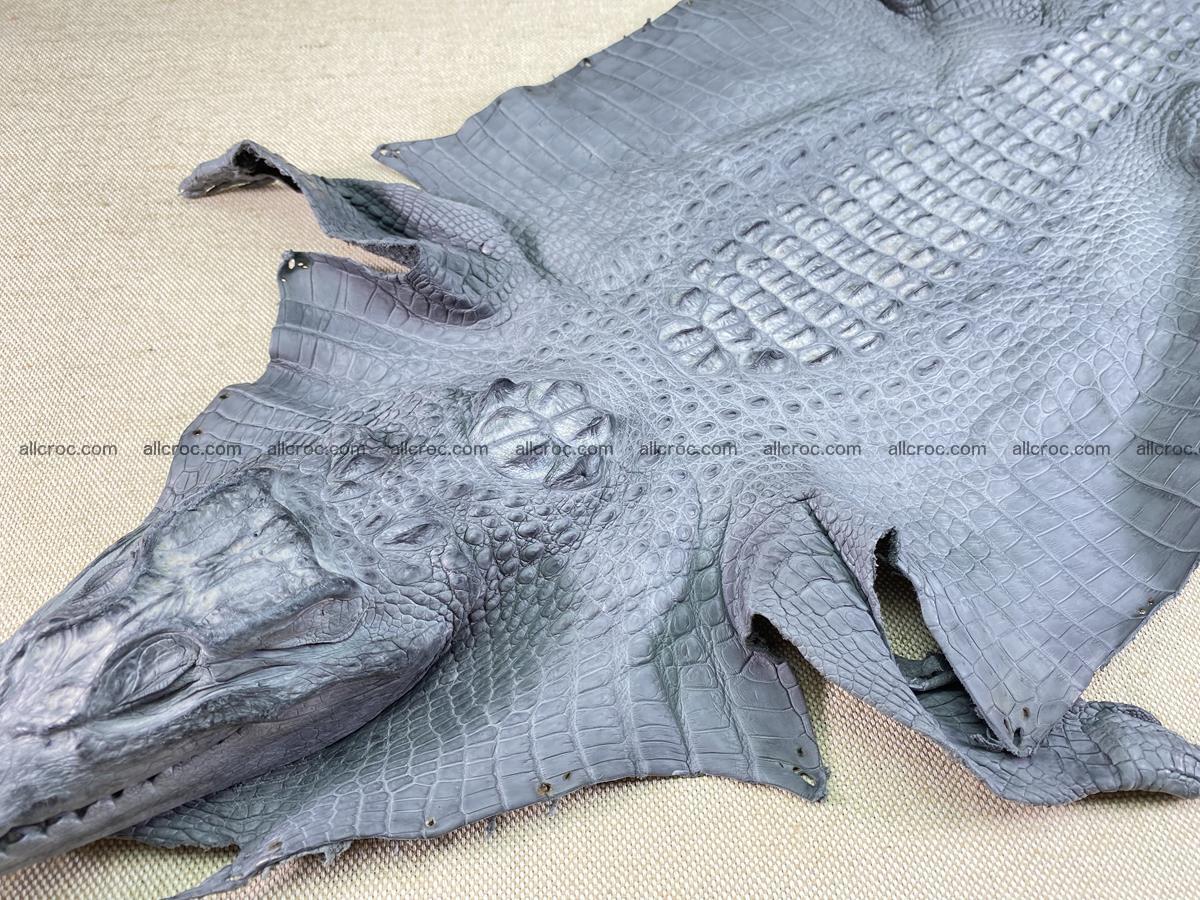 Crocodile skin back part with head and paws 34cm gray color 1493 Foto 3