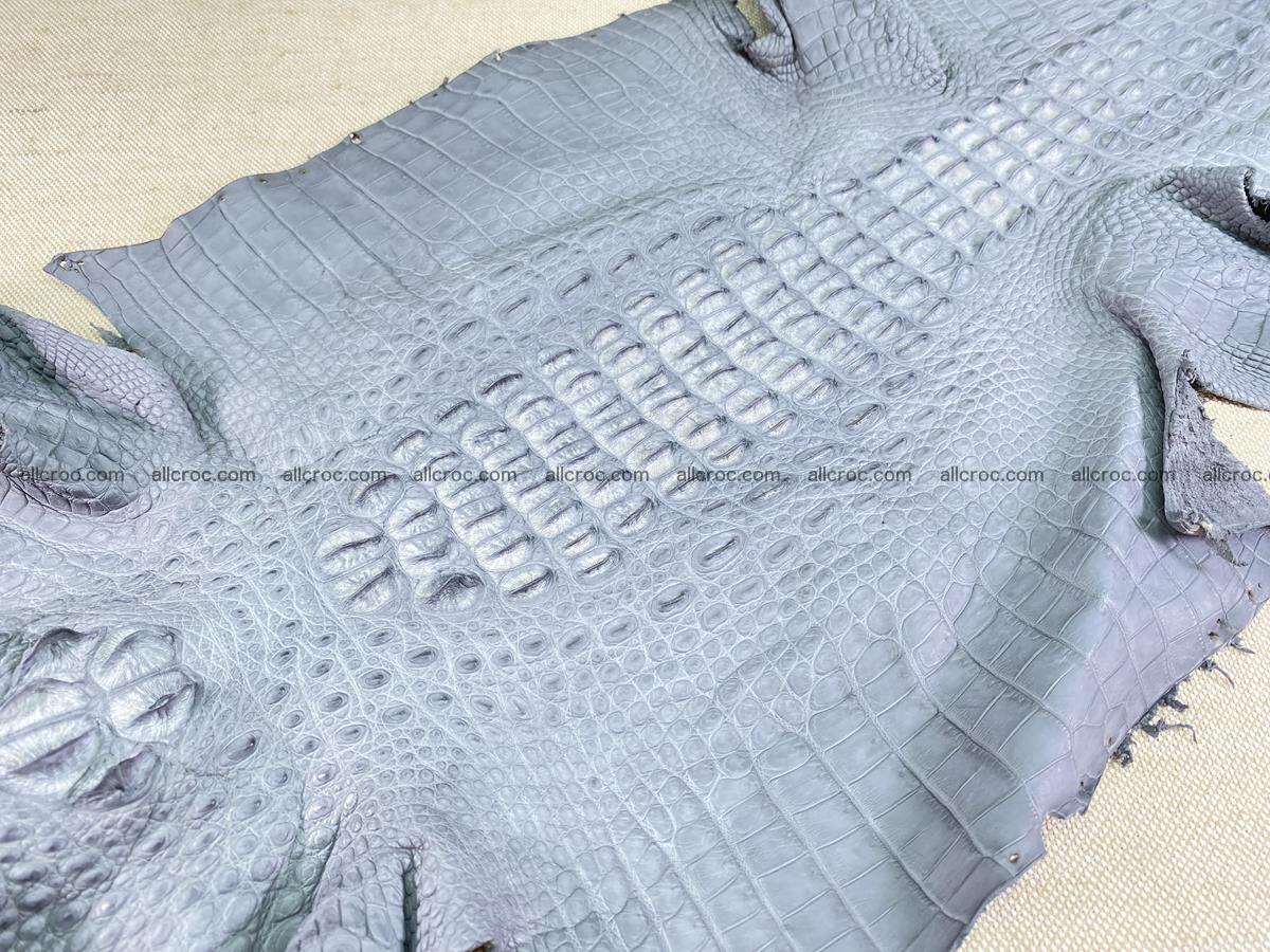 Crocodile skin back part with head and paws 34cm gray color 1493 Foto 4