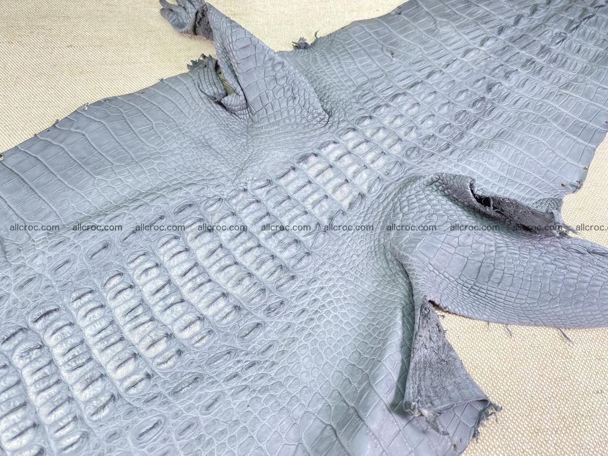 Crocodile skin back part with head and paws 34cm gray color 1493 Foto 5
