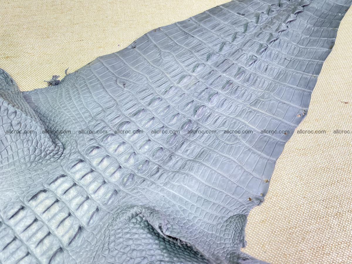 Crocodile skin back part with head and paws 34cm gray color 1493 Foto 6
