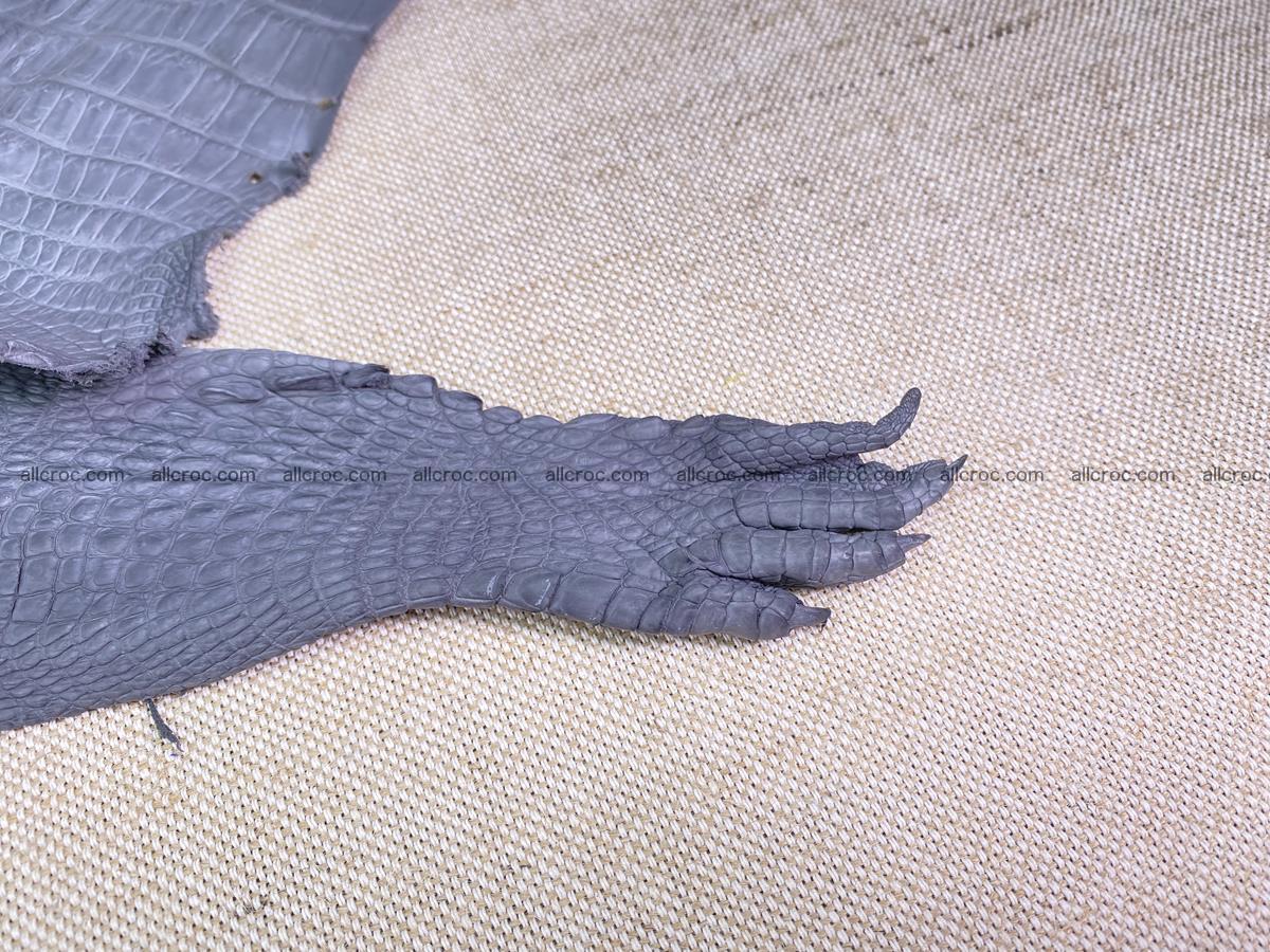 Crocodile skin back part with head and paws 34cm gray color 1493 Foto 7