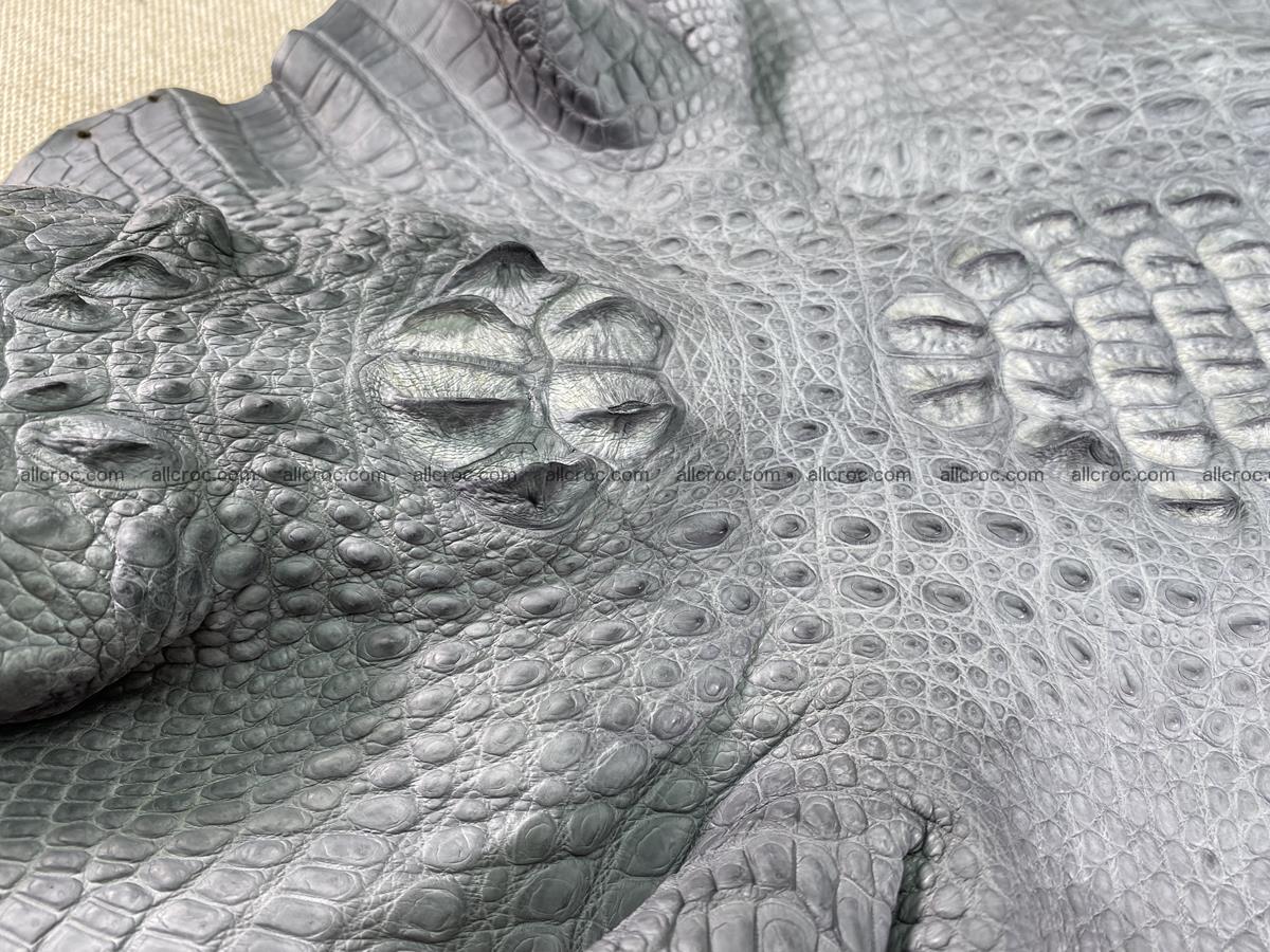 Crocodile skin back part with head and paws 34cm gray color 1493 Foto 9