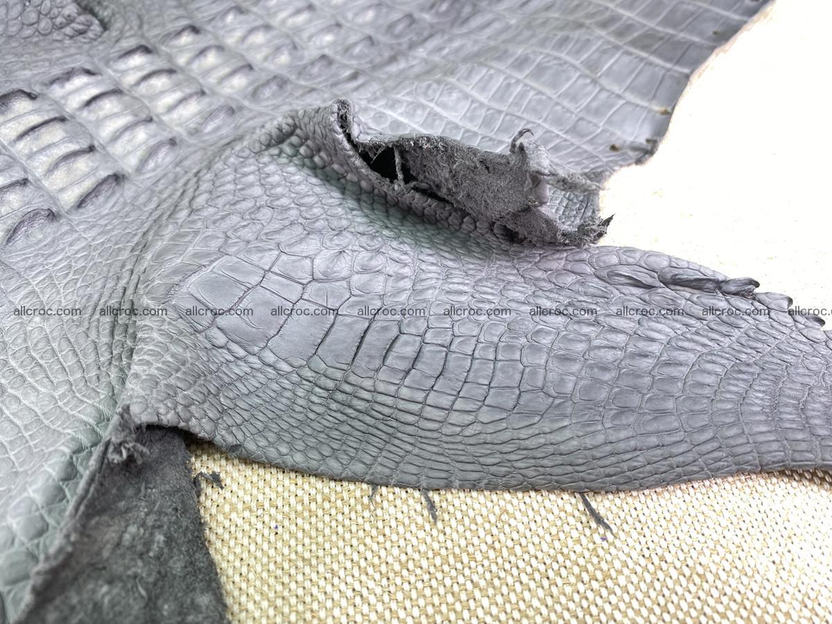 Crocodile skin back part with head and paws 34cm gray color 1493 Foto 13
