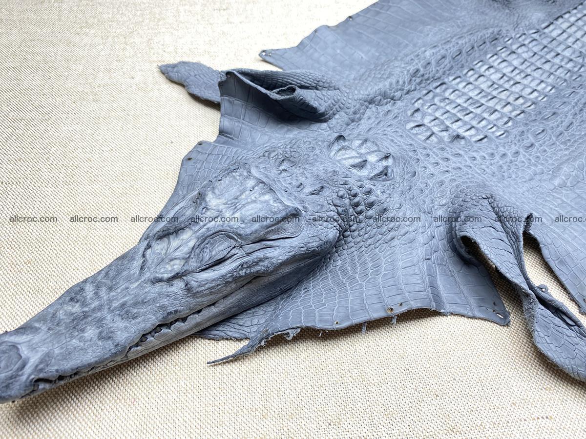 Crocodile skin back part with head and paws 34cm gray color 1493 Foto 14