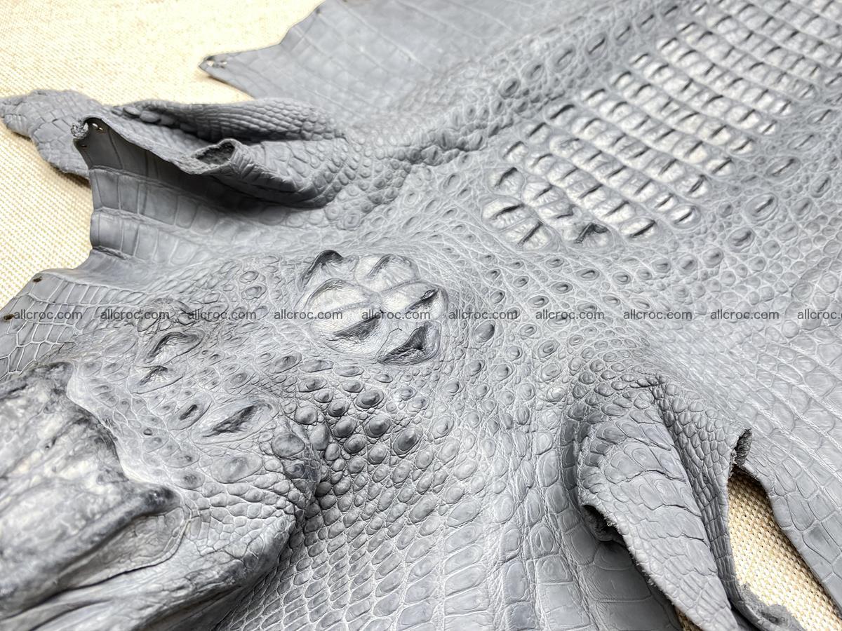 Crocodile skin back part with head and paws 34cm gray color 1493 Foto 15