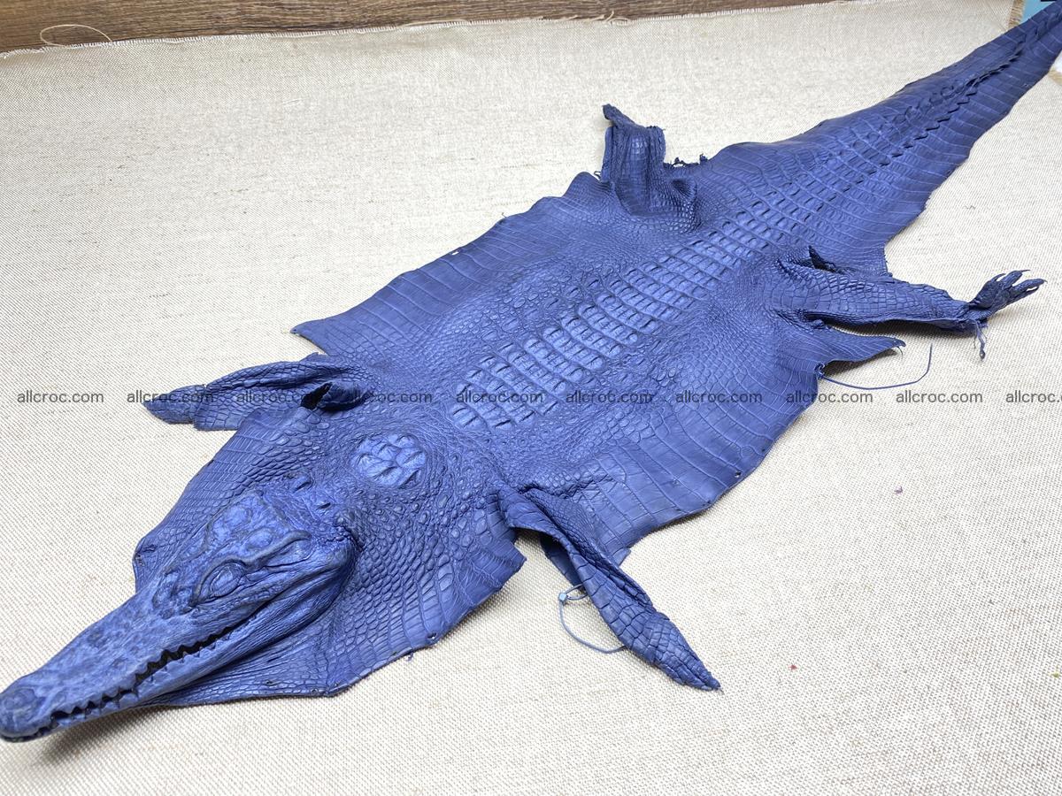 Crocodile skin back part with head and paws 28cm navy blue color 1497 Foto 4