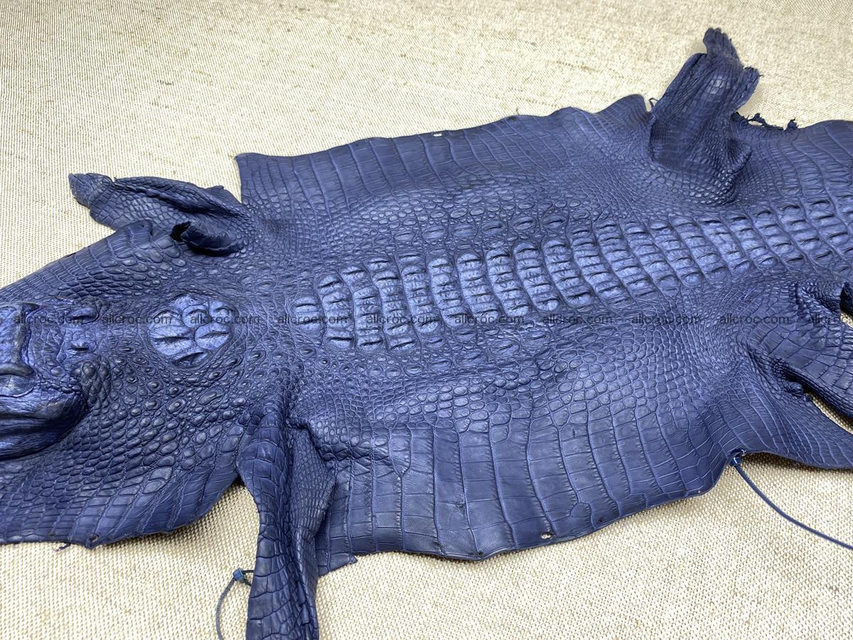 Crocodile skin back part with head and paws 28cm navy blue color 1497 Foto 7
