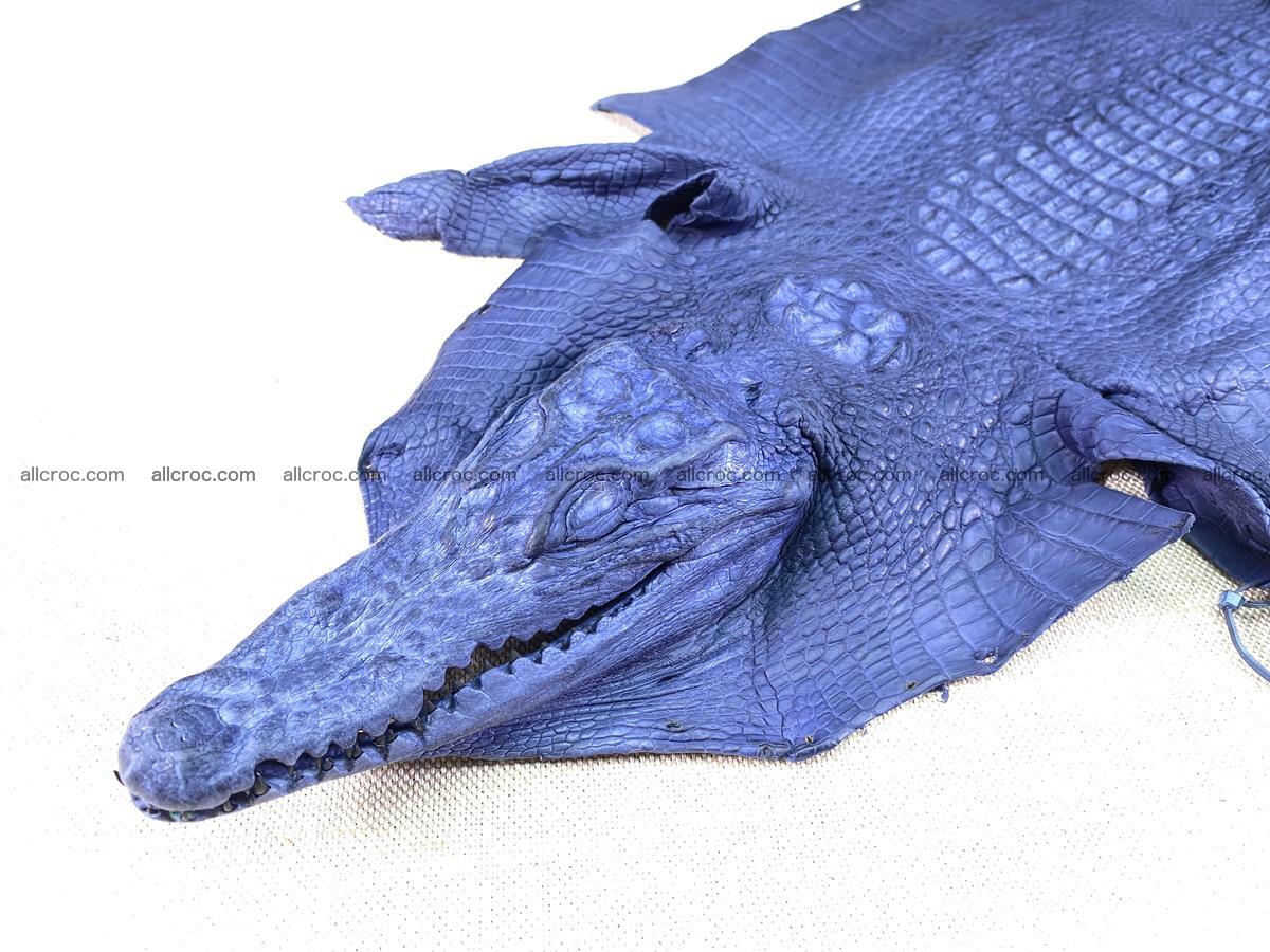 Crocodile skin back part with head and paws 28cm navy blue color 1497 Foto 0