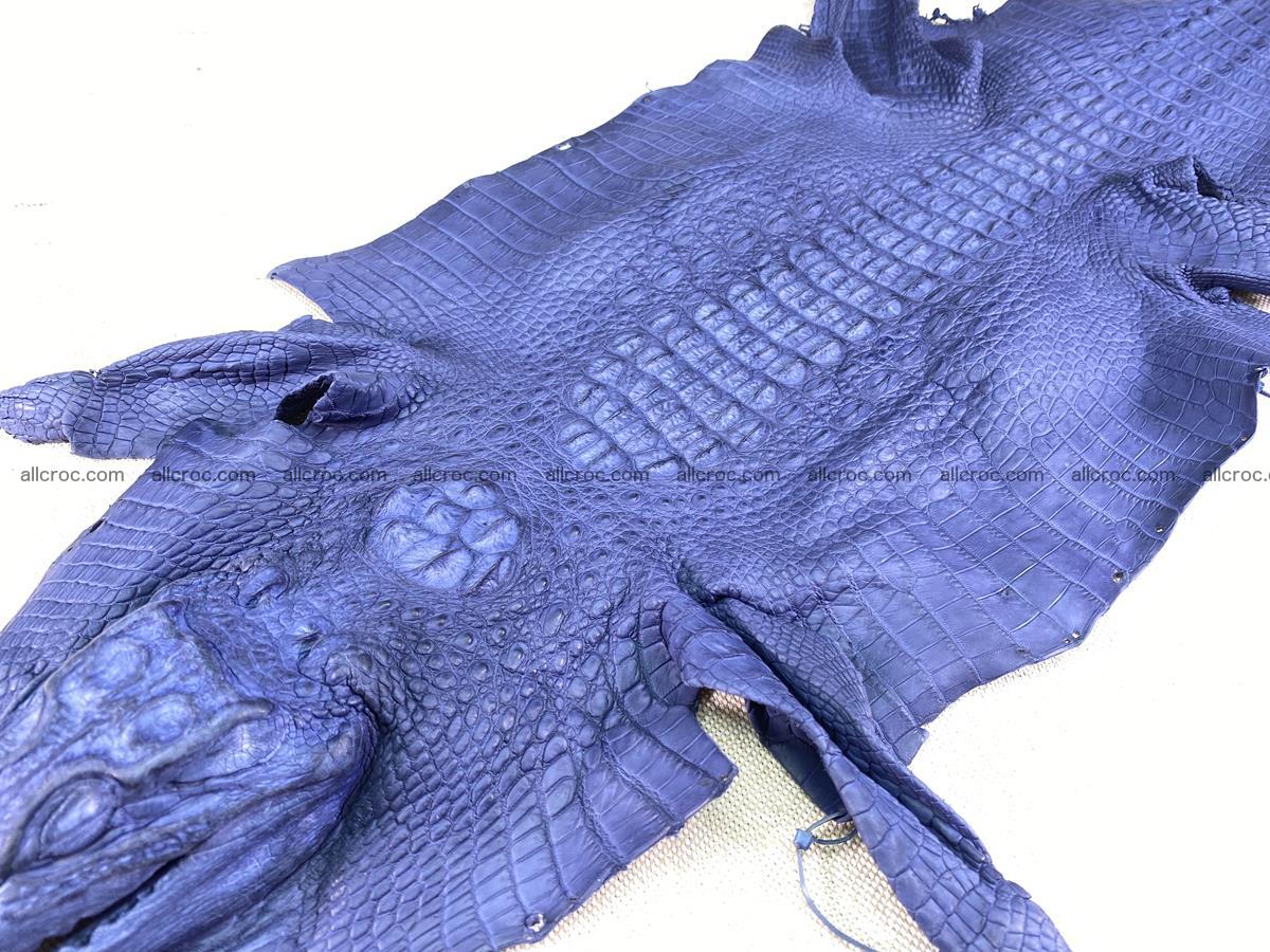 Crocodile skin back part with head and paws 28cm navy blue color 1497 Foto 2