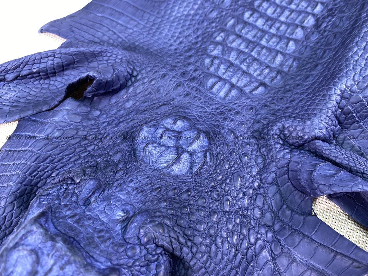 Crocodile skin back part with head and paws 28cm navy blue color 1497 Foto 6