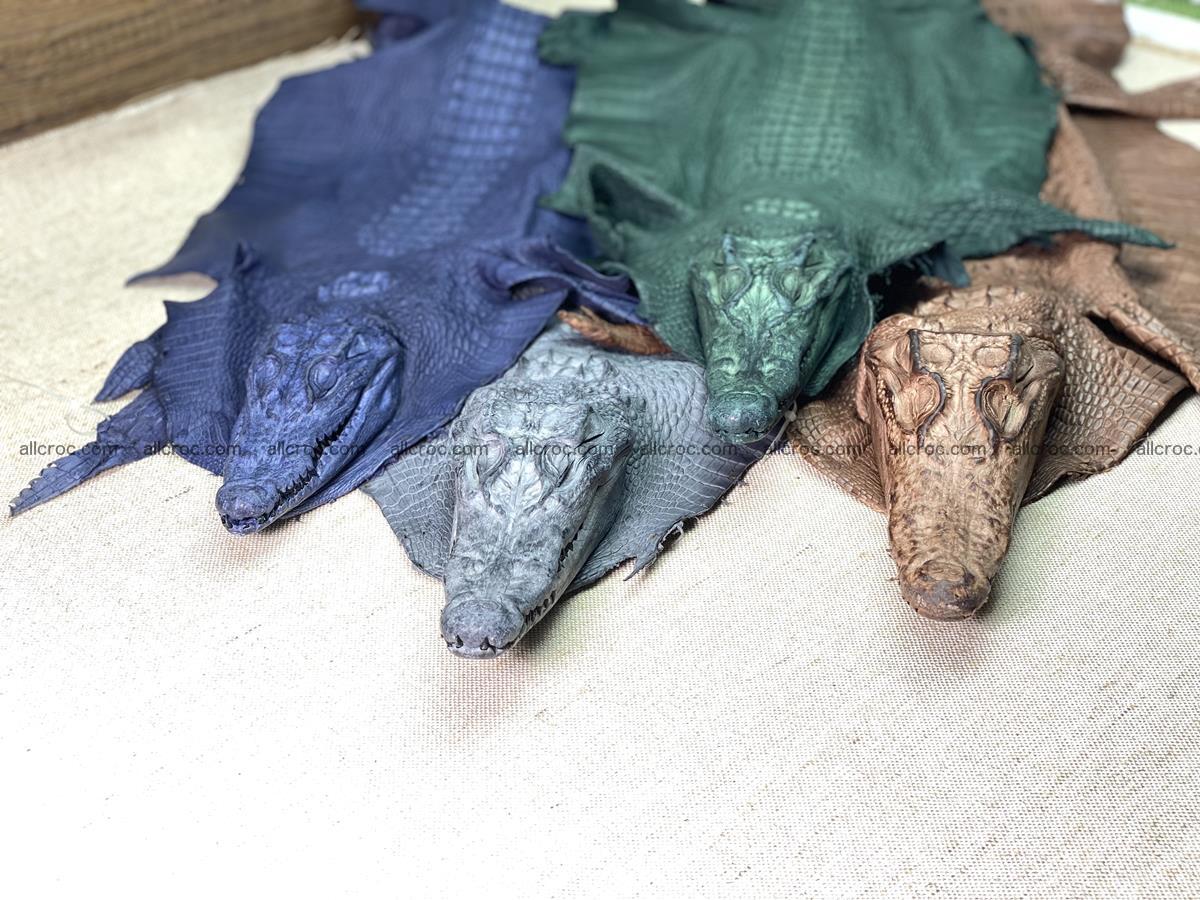 Crocodile skin back part with head and paws 16cm yellow color 1498 Foto 16