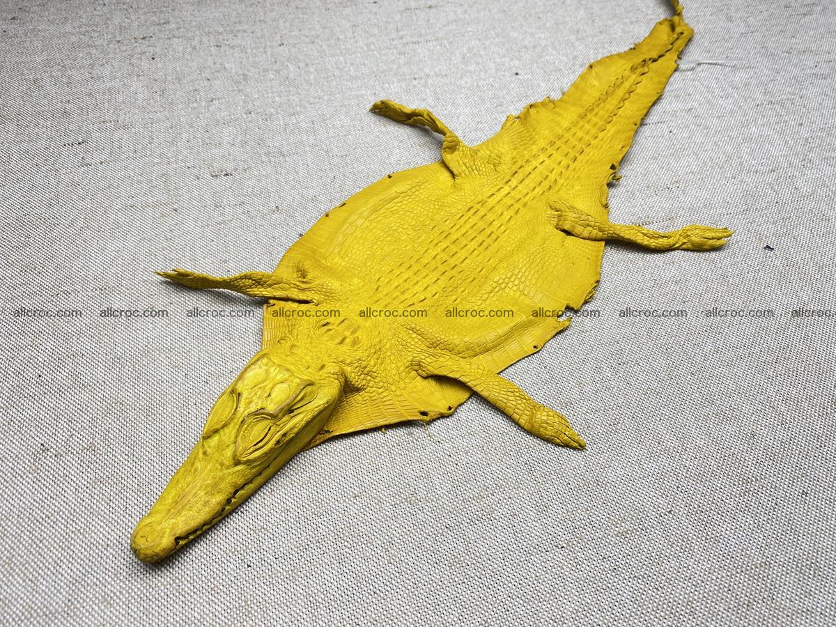 Crocodile skin back part with head and paws 16cm yellow color 1498 Foto 1