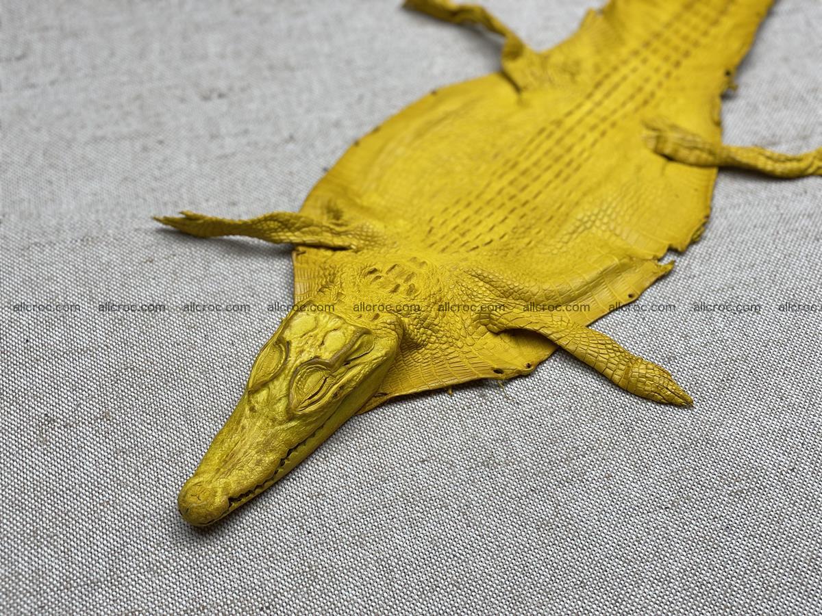 Crocodile skin back part with head and paws 16cm yellow color 1498 Foto 13