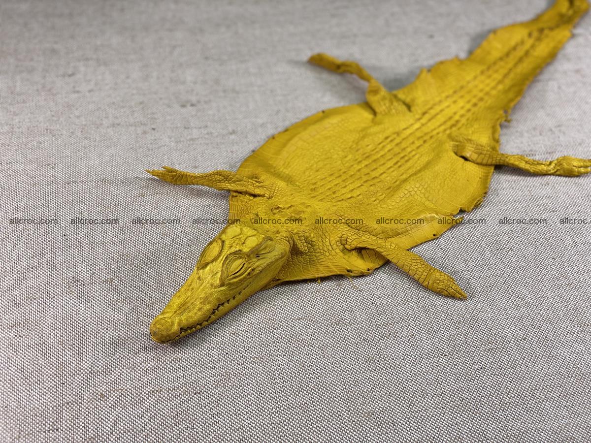 Crocodile skin back part with head and paws 16cm yellow color 1498 Foto 8