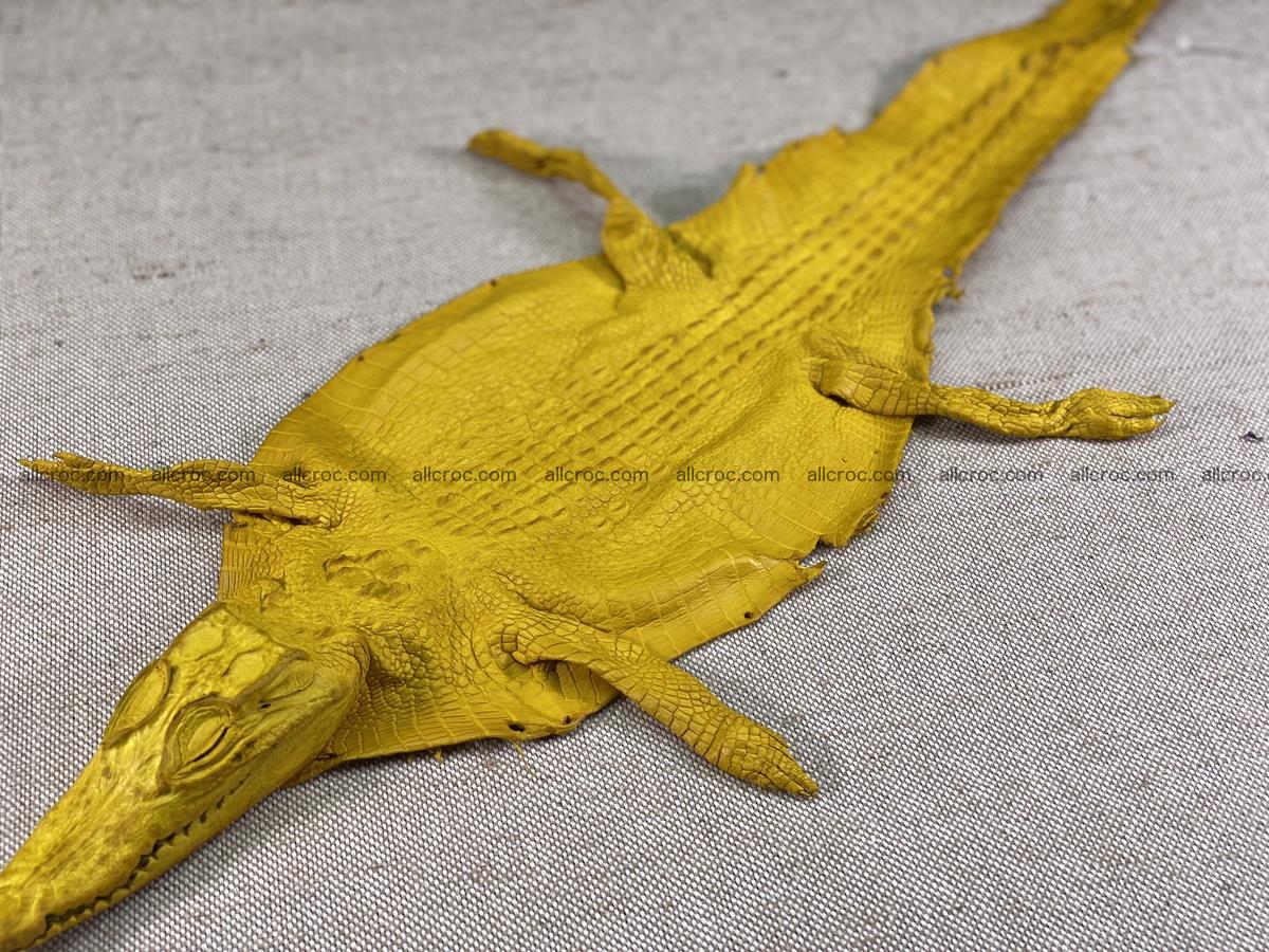 Crocodile skin back part with head and paws 16cm yellow color 1498 Foto 12