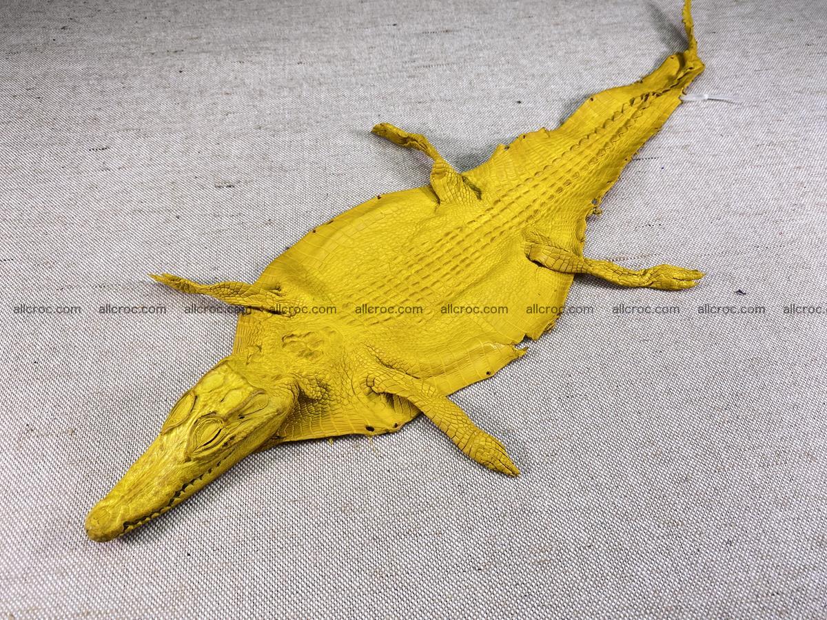 Crocodile skin back part with head and paws 16cm yellow color 1498 Foto 11