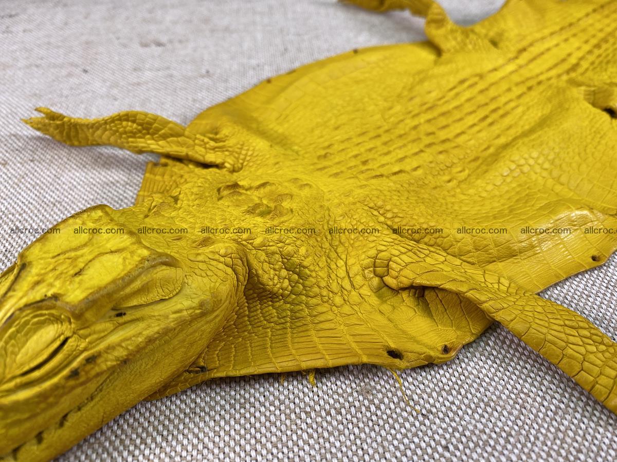 Crocodile skin back part with head and paws 16cm yellow color 1498 Foto 5