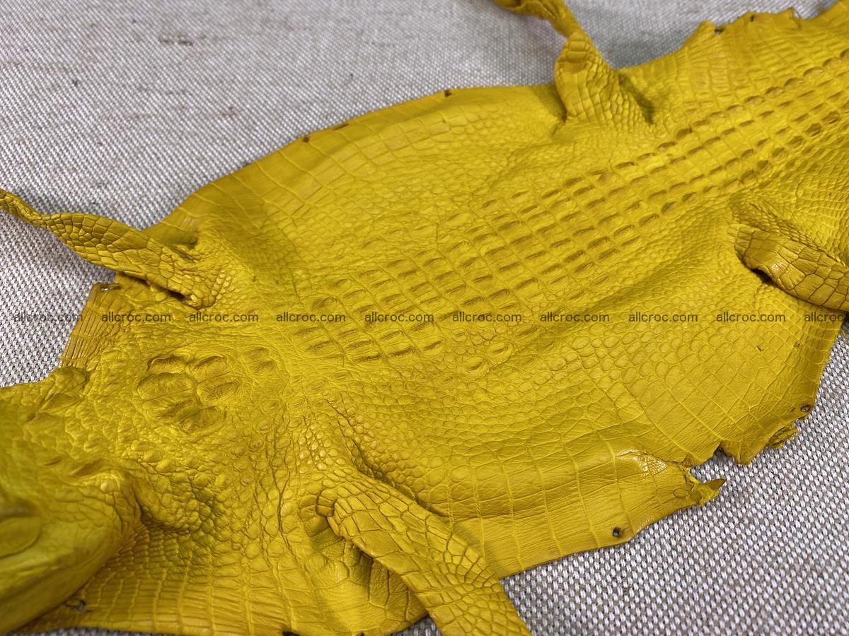 Crocodile skin back part with head and paws 16cm yellow color 1498 Foto 7
